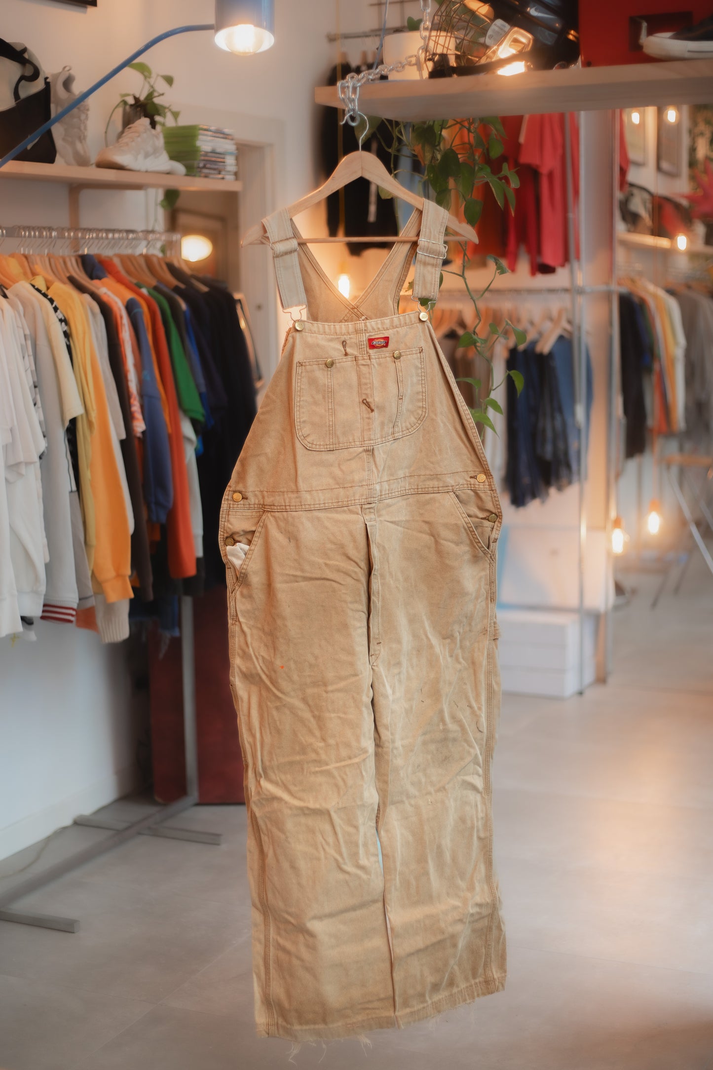 Dickies Overall
