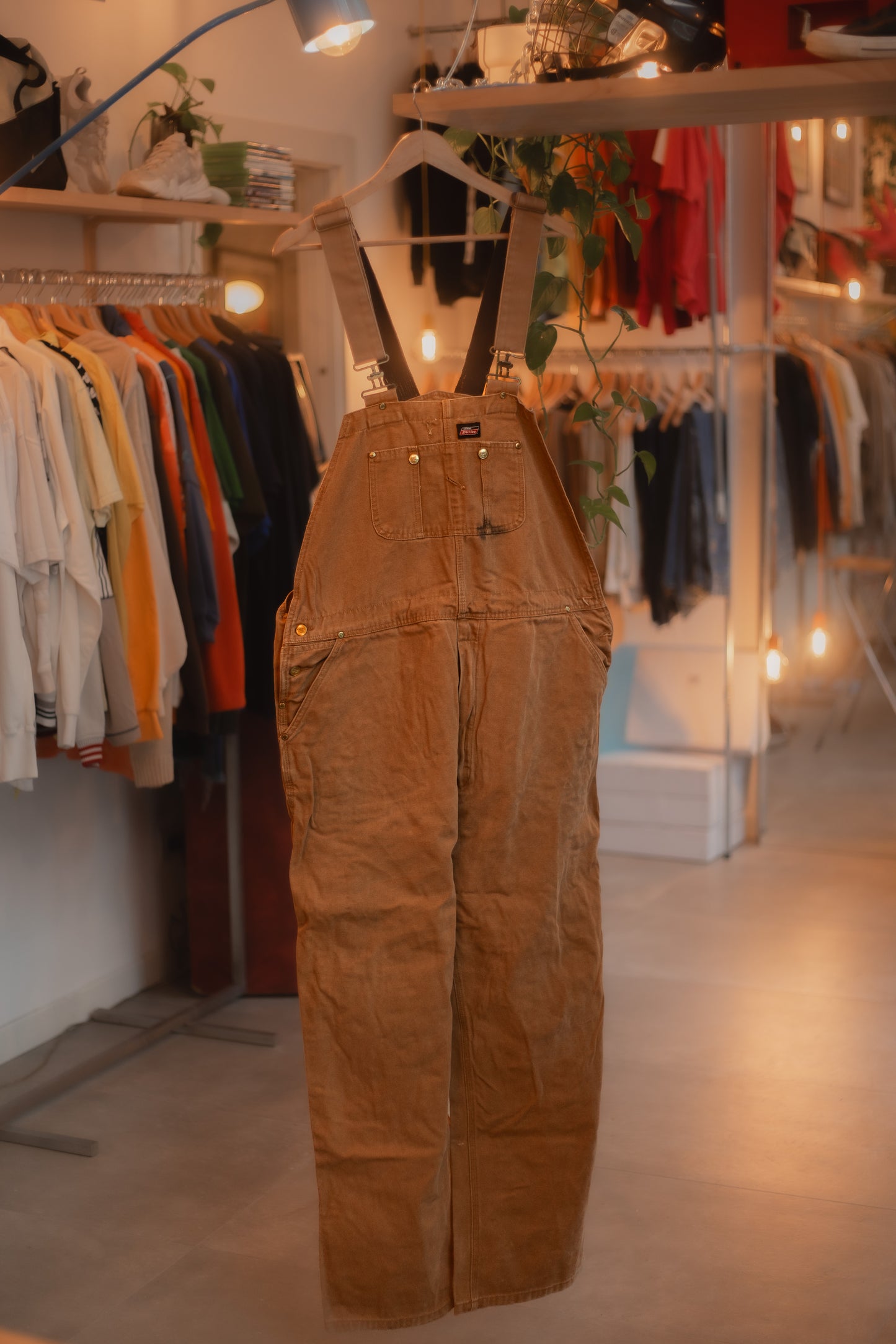 Dickies Overall