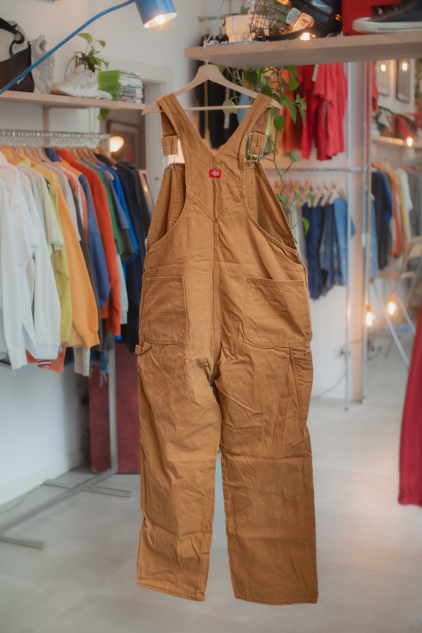 Dickies Overall