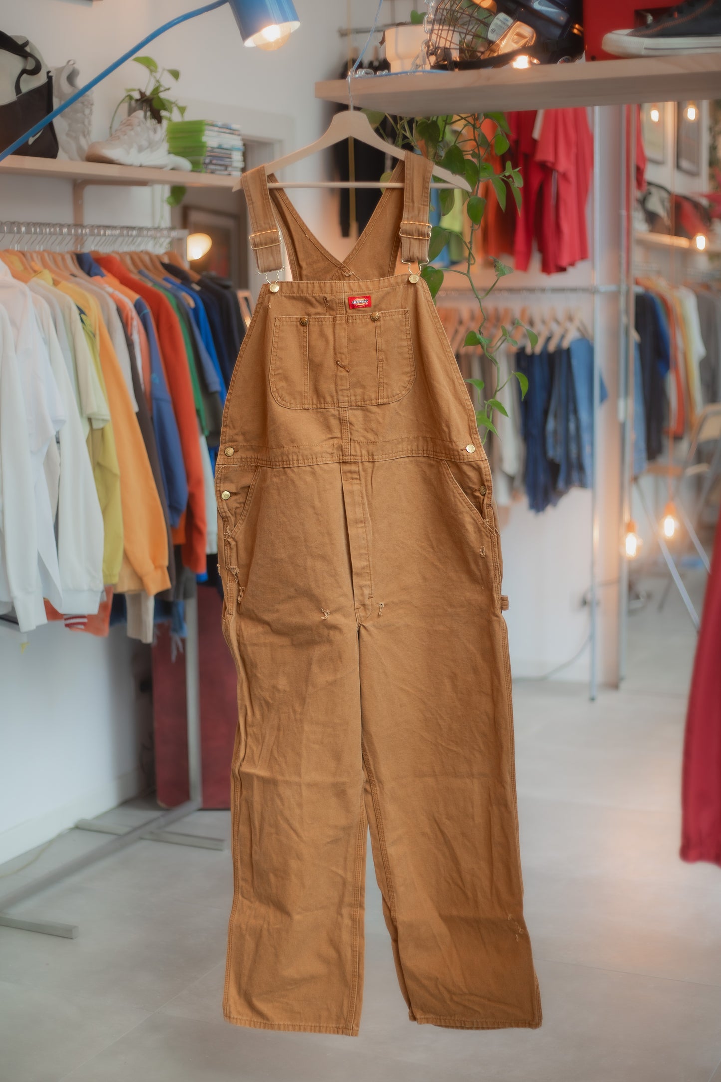 Dickies Overall