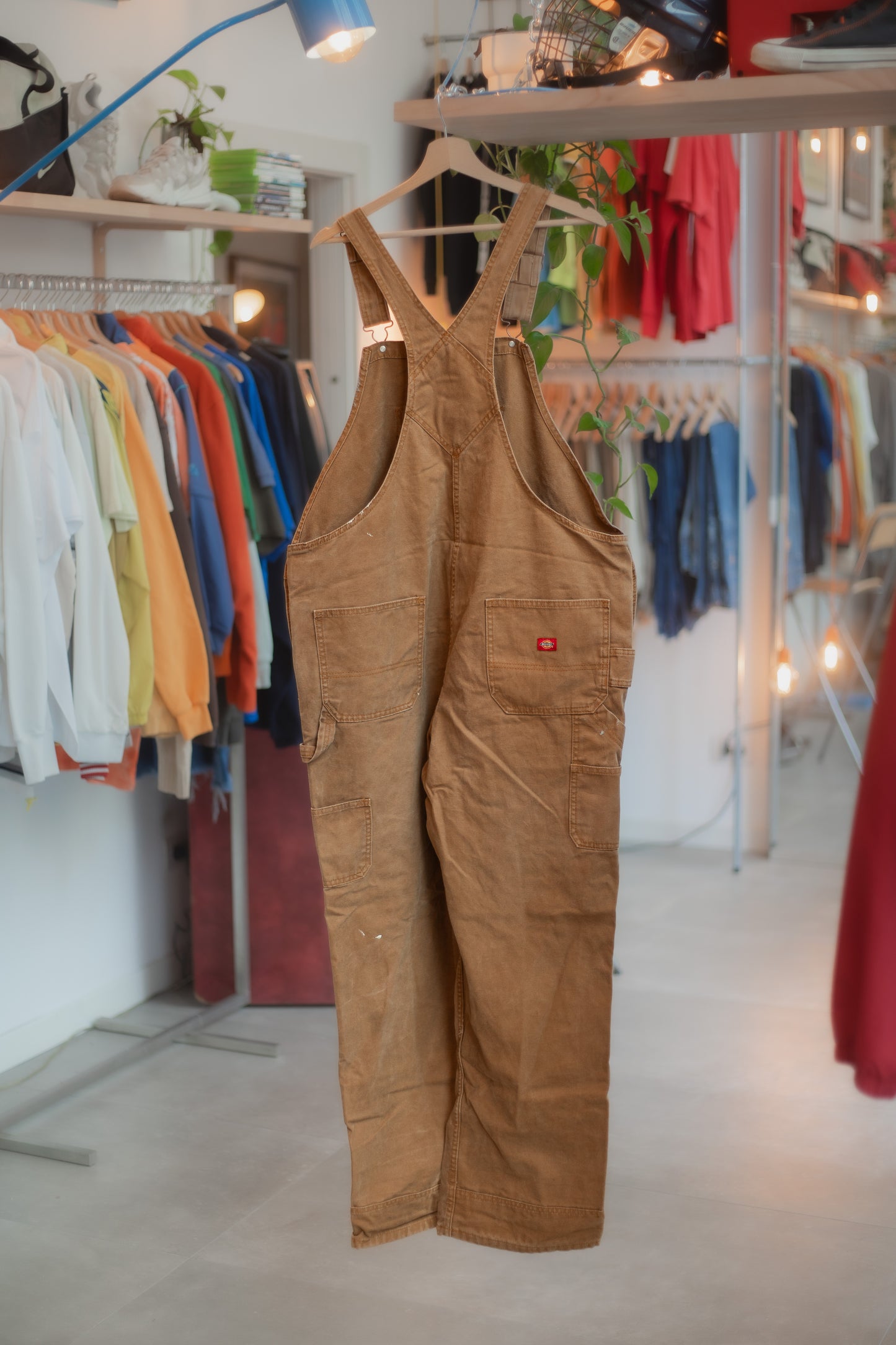 Dickies Overall