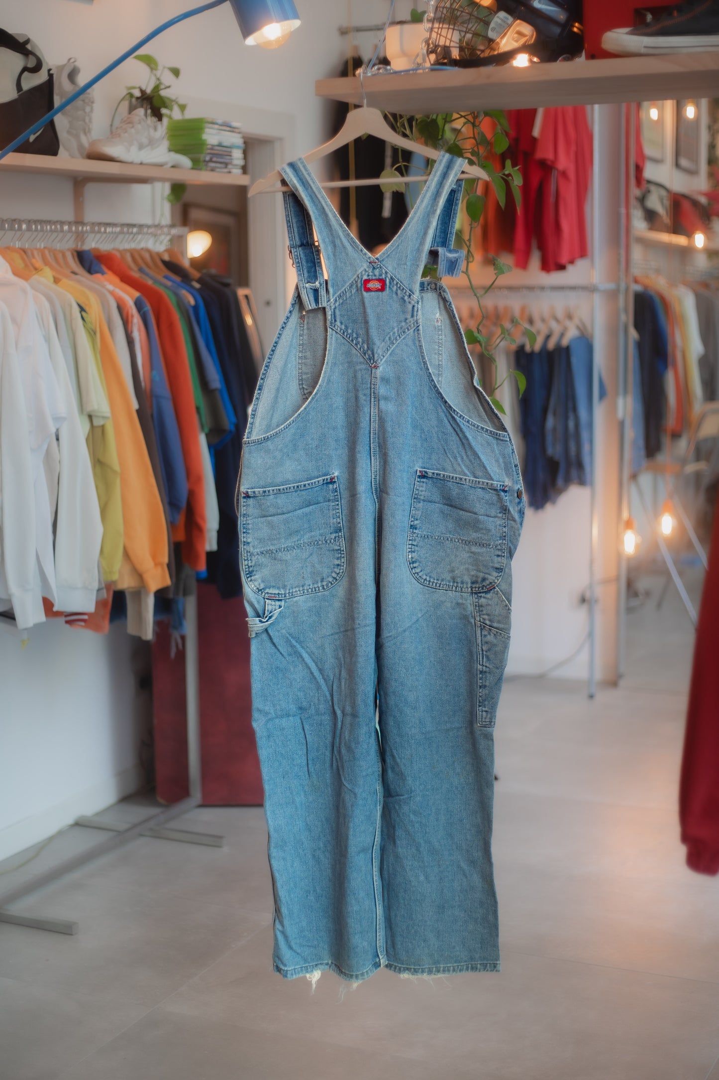 Dickies Overall
