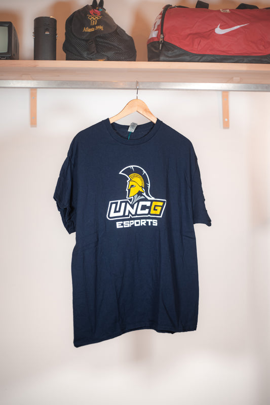 Gildan Heavy Cotton AMCG Esports T-shirt