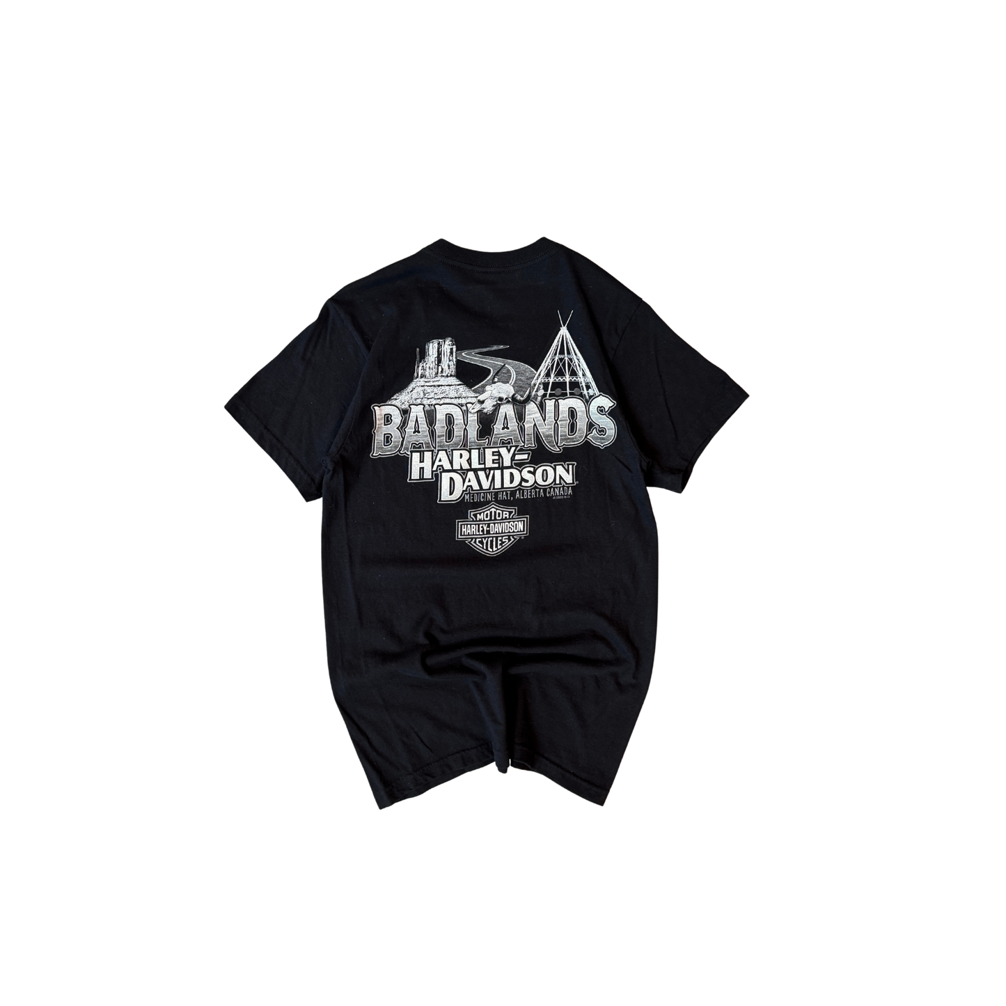 HARLEY DAVIDSON Badlands