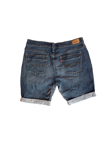 Vintage Levi's Bottom (10 S)