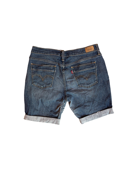 Vintage Levi's Bottom (10 S)