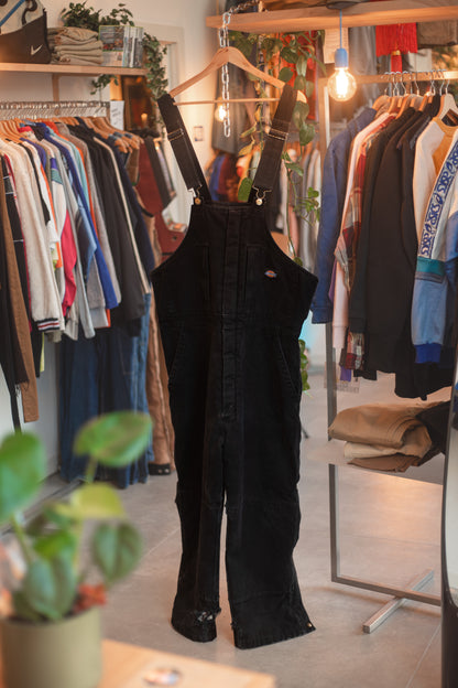 Dickies Snowboard Overalls